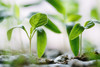 Pflichten und Sanktionen - Verstöße gegen das Umwelt- und Klimaschutzrecht