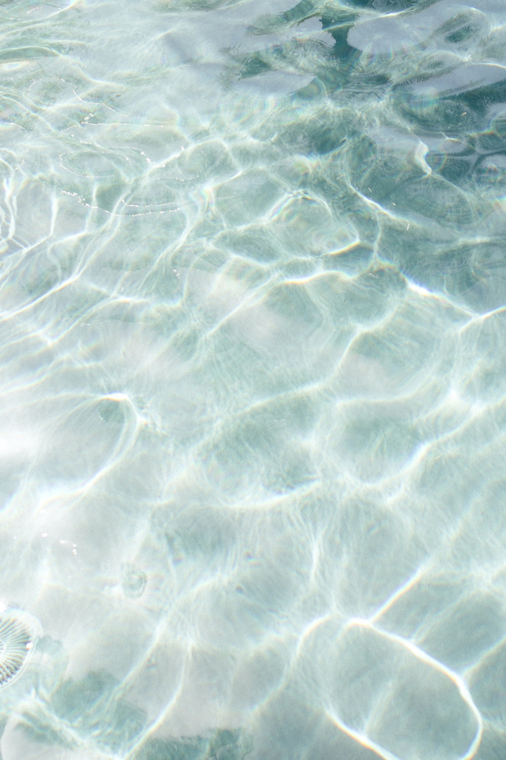 Sturm im Wasserglas Sturm im Wasserglas