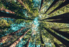 Verpflichtende ESG-Berichterstattung für den Mittelstand – Ein Überblick über die Corporate Sustainability Reporting Directive (CSRD)