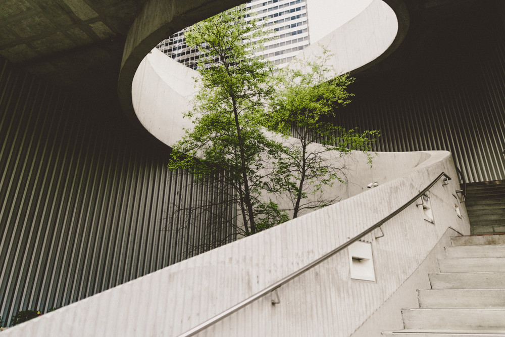 Nachhaltiges Unternehmertum – ESG-Anforderungen und Strategien Nachhaltiges Unternehmertum – ESG-Anforderungen und Strategien