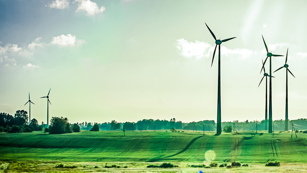 Grünes Licht für Windparkbetreiber - Umweltverband scheitert vor dem VGH Baden-Württemberg